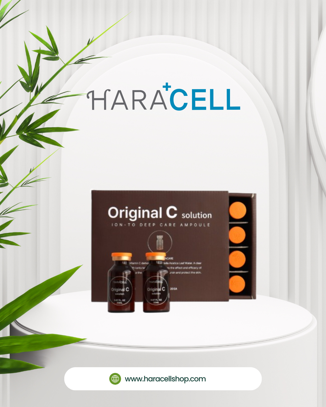 Original - C Solution